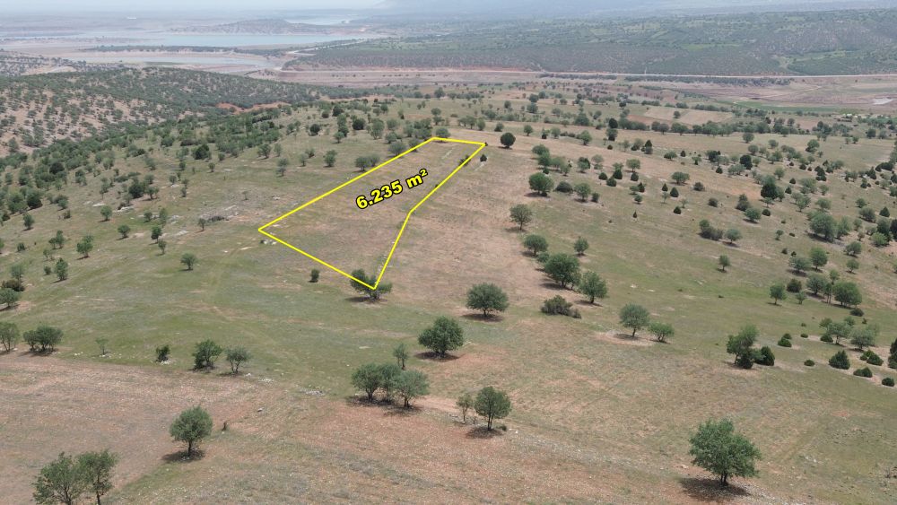 AKÖREN BELKUYU DA 6.235 M2 MÜSTAKİL TAPULU TARLA