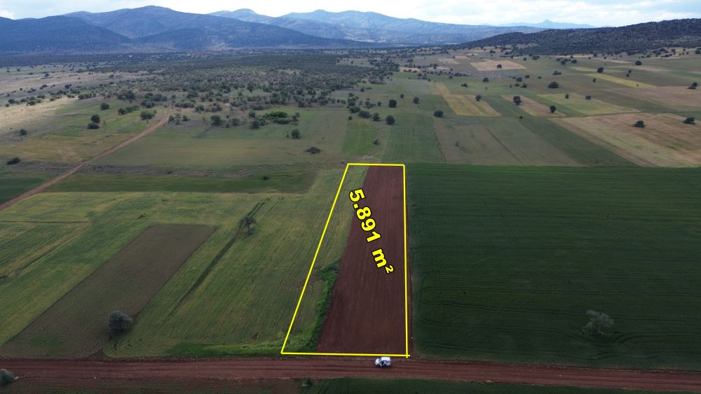 AKÖREN HACILAR DA 5.891 M2 MÜSTAKİL TAPULU TARLA