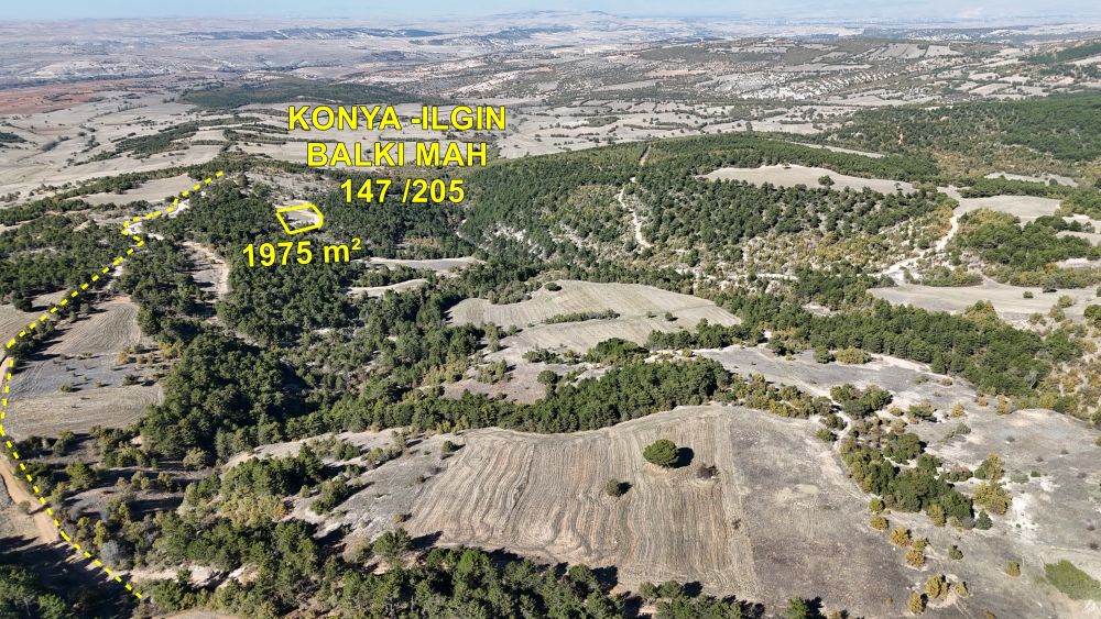 ILGIN MAHALLESİNDE TARLA 1.975 m² / KONYA / ILGIN / BALKI