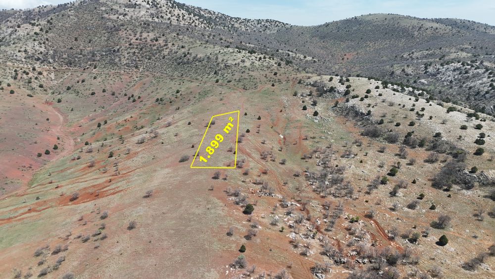GÜNEYSINIR da 1899 m² TARLA / KONYA / GÜNEYSINIR / KIZILÖZ MAH