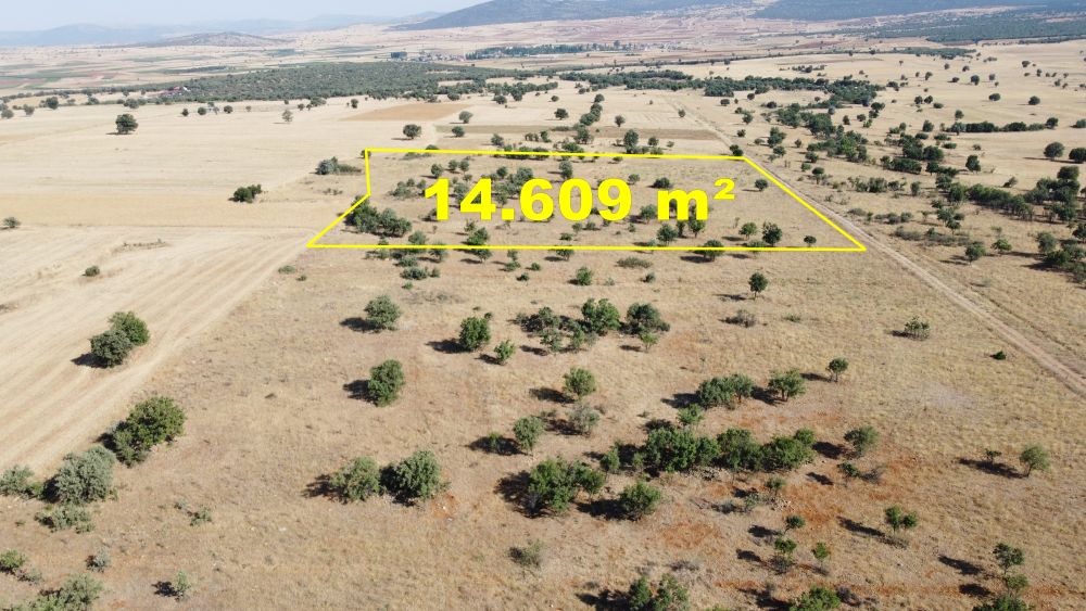 KONYA / AKÖREN / AĞALAR MAHALLESİNDE 14.609 m² MÜSTAKİL TAPULU TARLA